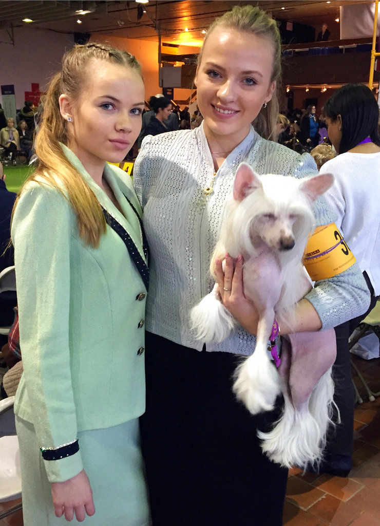 Westminster Dog Show Young Handlers